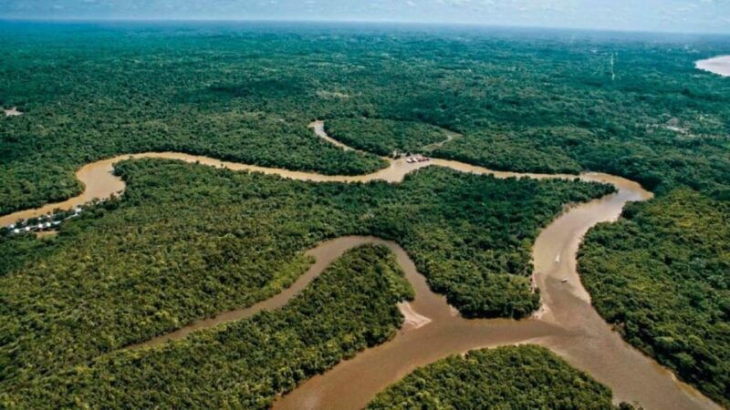 iquitos-2-days-in-the-amazon-natural-wonder-of-the-world