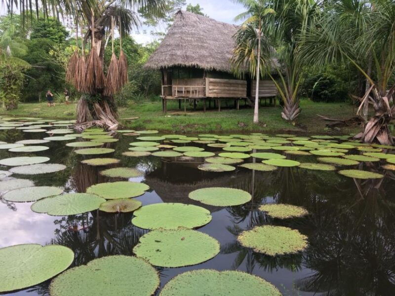 iquitos-3-days-and-2-nights-guided-amazon-jungle-tour