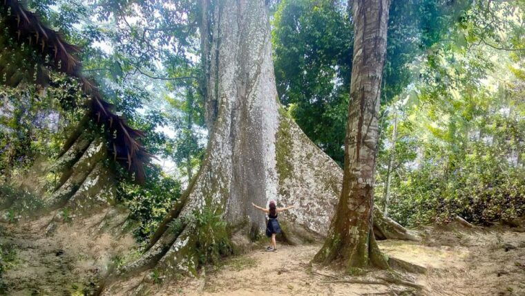 iquitos-6-hour-wonderful-wildlife-guided-tour