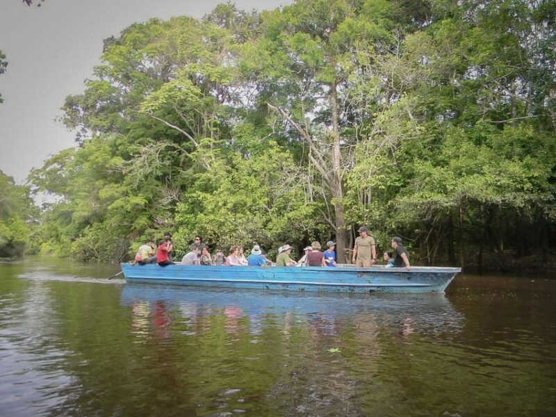 iquitos-amazon-jungle-full-day-excursion