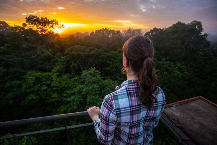 iquitos-amazon-jungle-full-day-excursion
