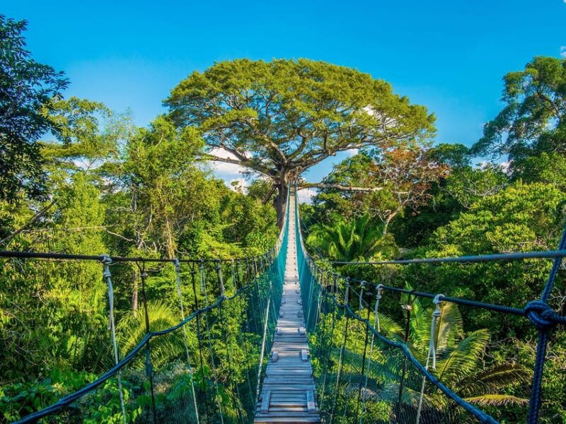 iquitos-amazon-three-day-exploration-rainforest