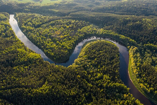 iquitos-jungle-tour-for-3-days