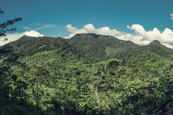iquitos-jungle-tour-for-3-days