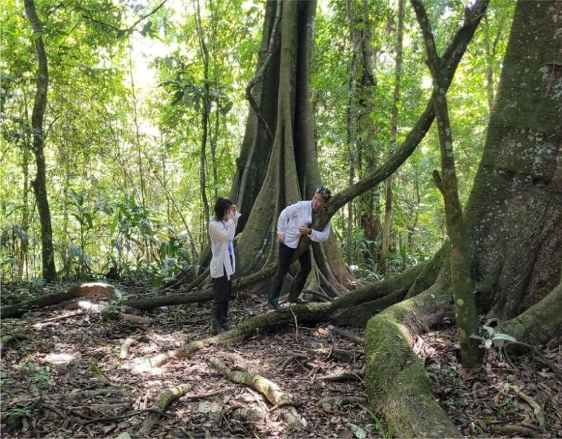 iquitos-private-tour-of-the-pacaya-samiria-national-reserve