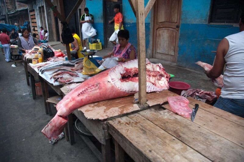 iquitos-visit-the-exotic-belen-market-venice-loretana