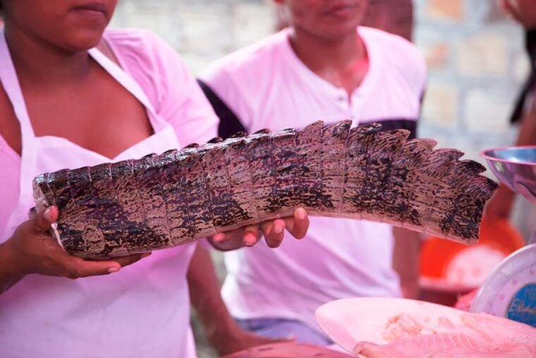 iquitos-visit-the-exotic-belen-market-venice-loretana