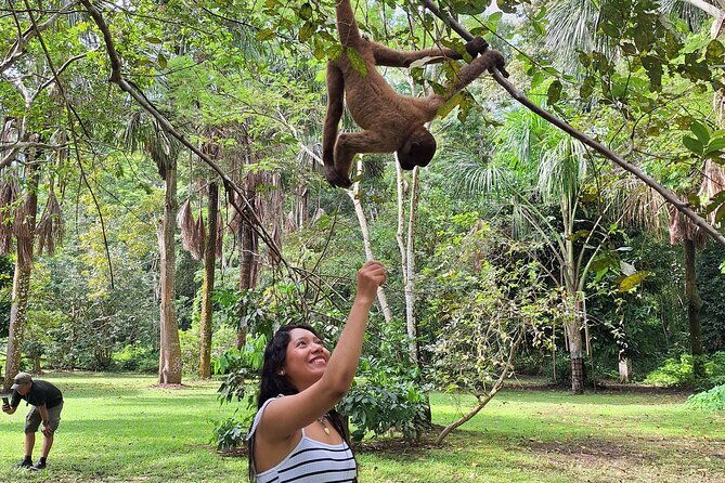 iquitos-visit-to-the-authentic-monkey-island-full-day