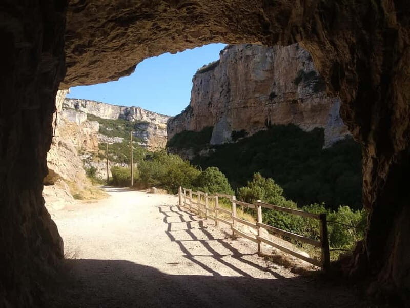 Irati Forest and Ochagavía Excursion - A Deep Dive into the Tour Experience