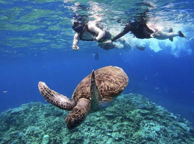 Iriomote: Boat Snorkeling Tour at Barasu Island - Final Thoughts