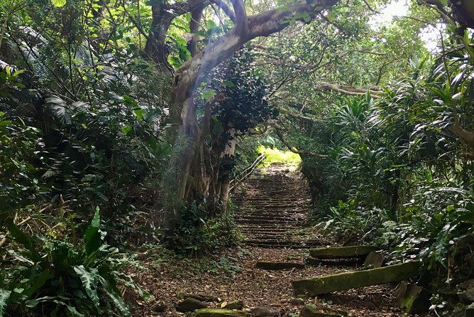 iriomote-culture-discovery-indigenous-culture-on-iriomote-island