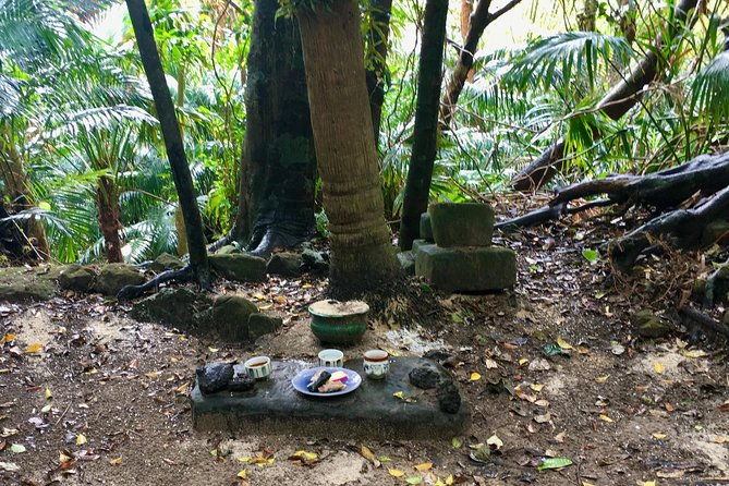 iriomote-culture-discovery-indigenous-culture-on-iriomote-island