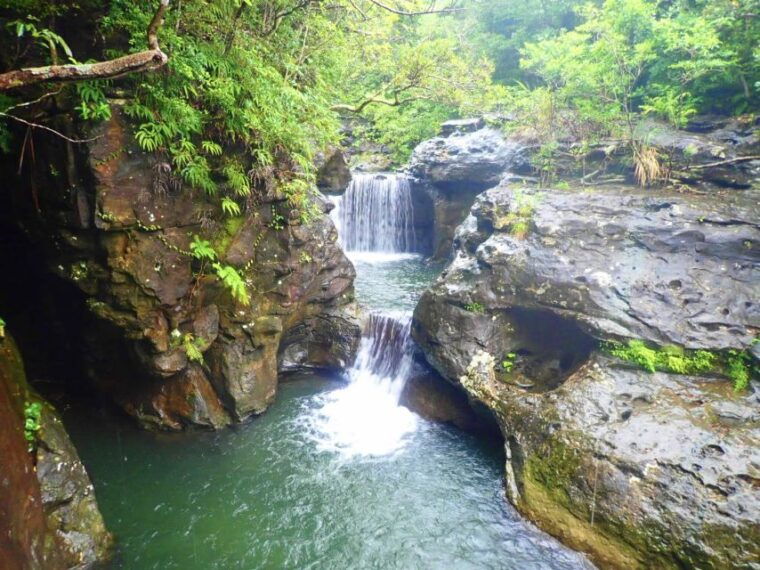 iriomote-island-guided-2-hour-canyoning-tour