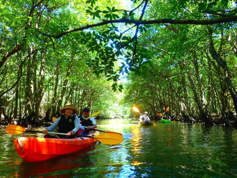 iriomote-island-kayaking-and-canyoning-tour