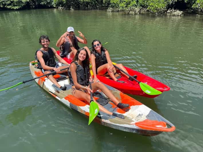 iriomote-island-mangrove-river-canoe-cruising-tour
