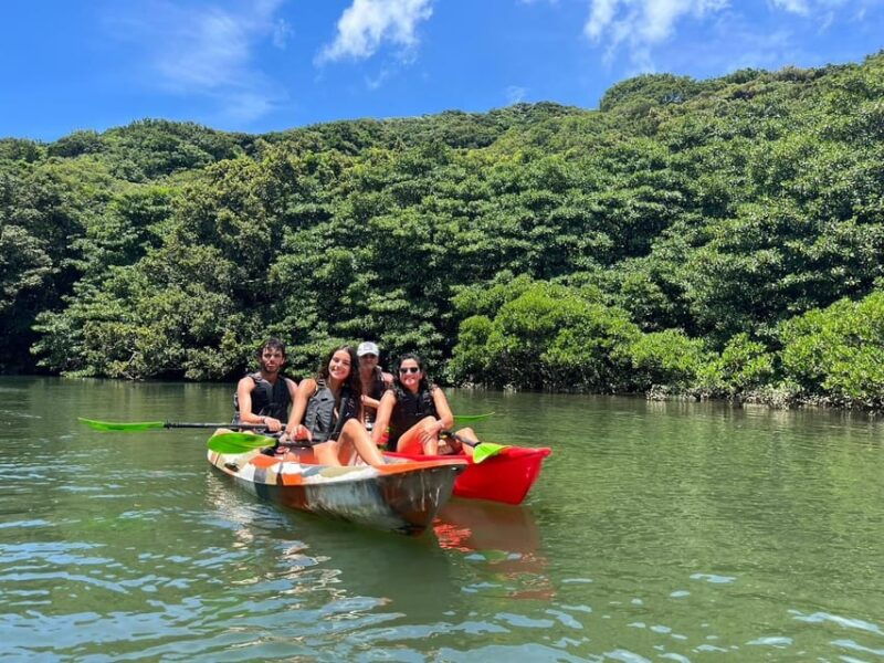 iriomote-island-mangrove-river-canoe-cruising-tour