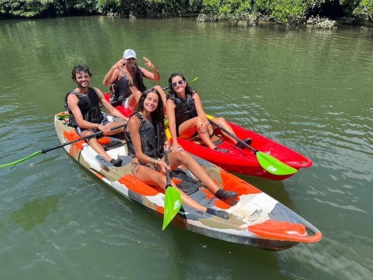 iriomote-island-mangrove-river-canoe-cruising-tour