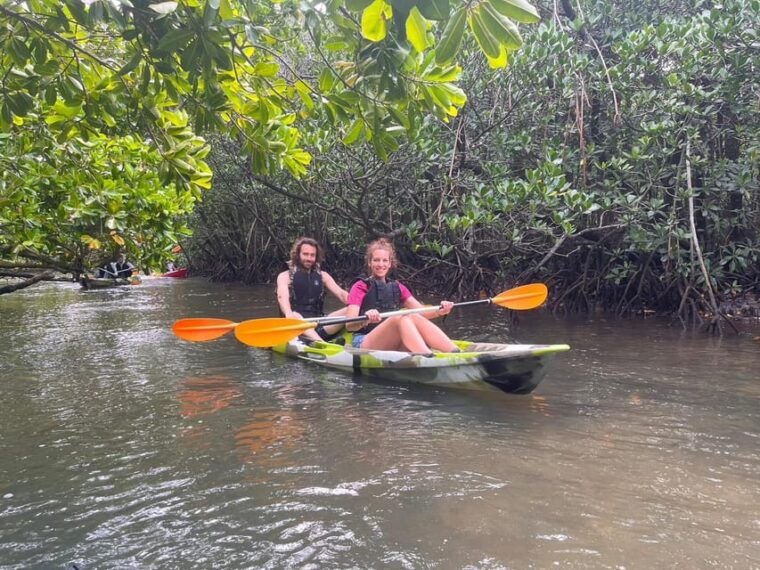 iriomote-island-mangrove-river-canoe-cruising-tour