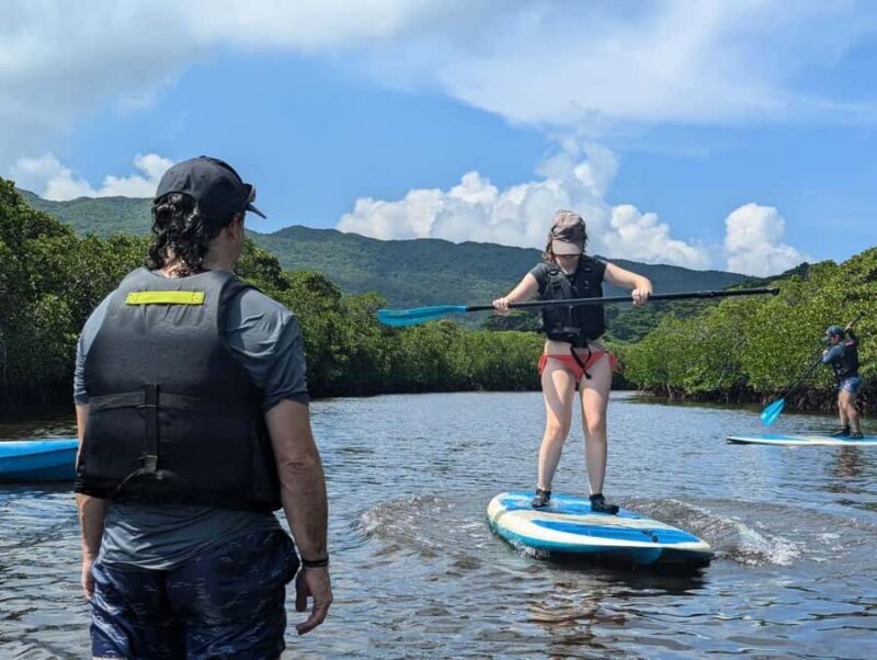 Iriomote island: Mangrove River SUP or Canoe Cruising Tour - Exploring Iriomotes Mangroves by Canoe: A Nature Lover’s Dream
