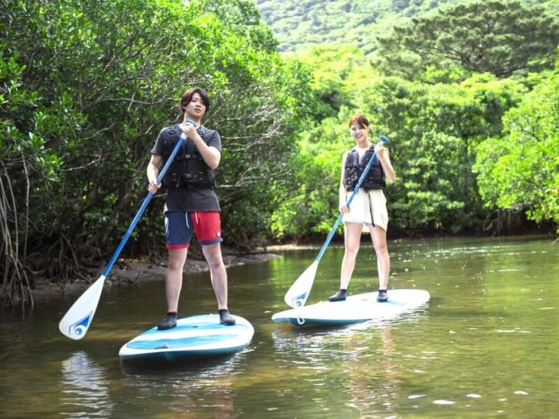 Iriomote island: Mangrove River SUP or Canoe Cruising Tour - The Itinerary in Detail