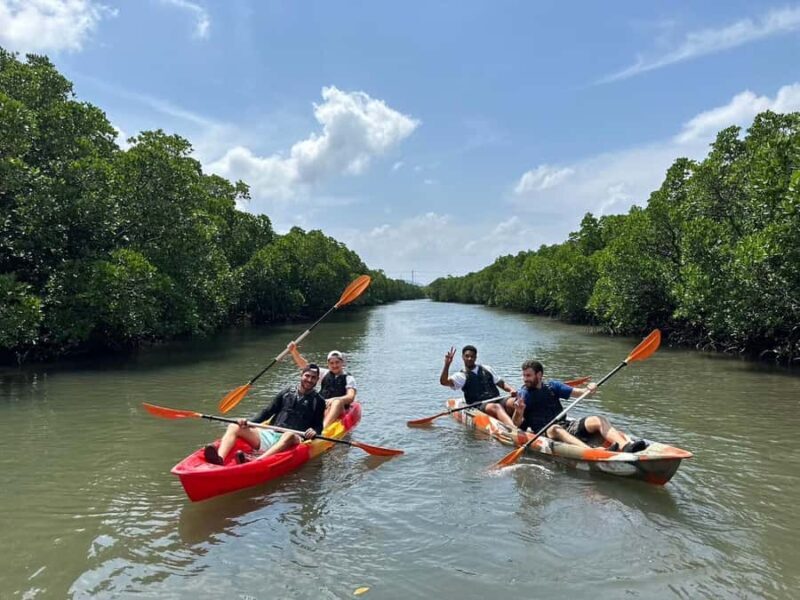 Iriomote island: Mangrove River SUP or Canoe Cruising Tour - What to Expect During the Tour