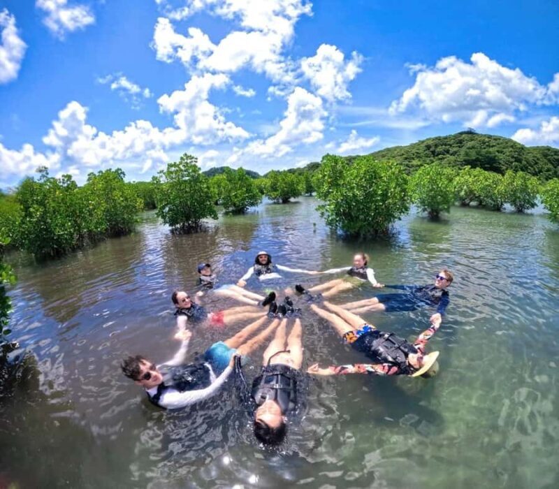 Iriomote island: Mangrove River SUP or Canoe Cruising Tour - FAQ