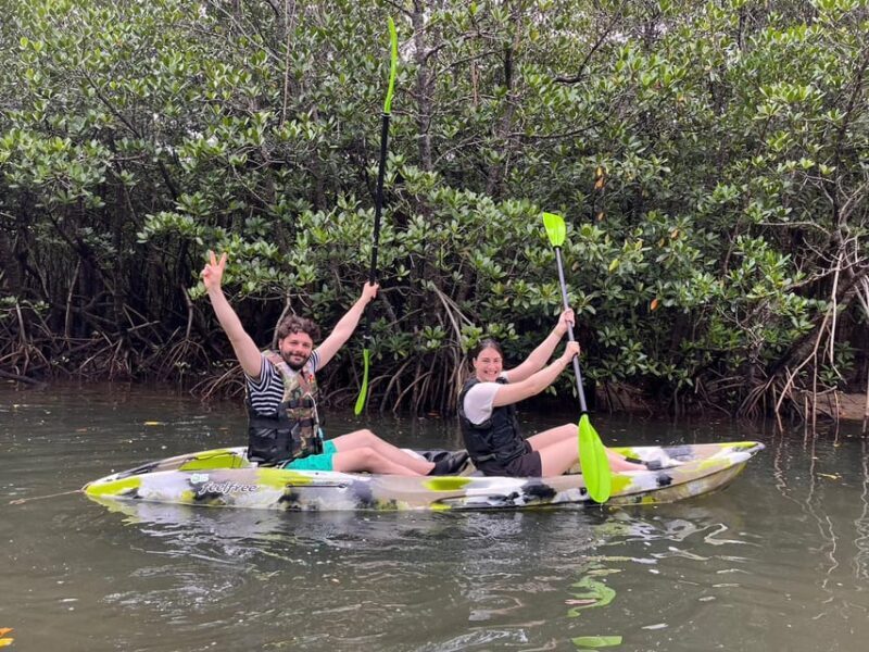Iriomote island: Mangrove River SUP or Canoe Cruising Tour - Key Points