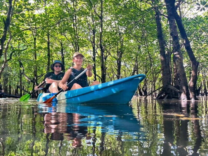 Iriomote island: Mangrove River SUP or Canoe Cruising Tour - An Authentic Look at the Iriomote Mangrove Tour