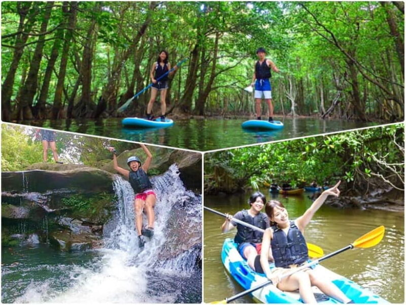 Iriomote Island: SUP or Canoeing and Canyoning Tour - An In-Depth Look at the Tour