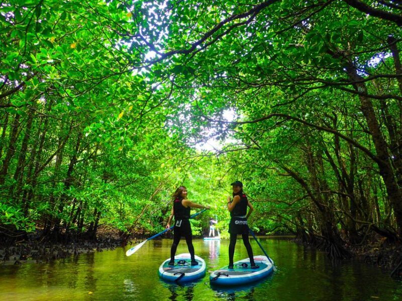 Iriomote Island: SUP or Canoeing and Canyoning Tour - FAQ