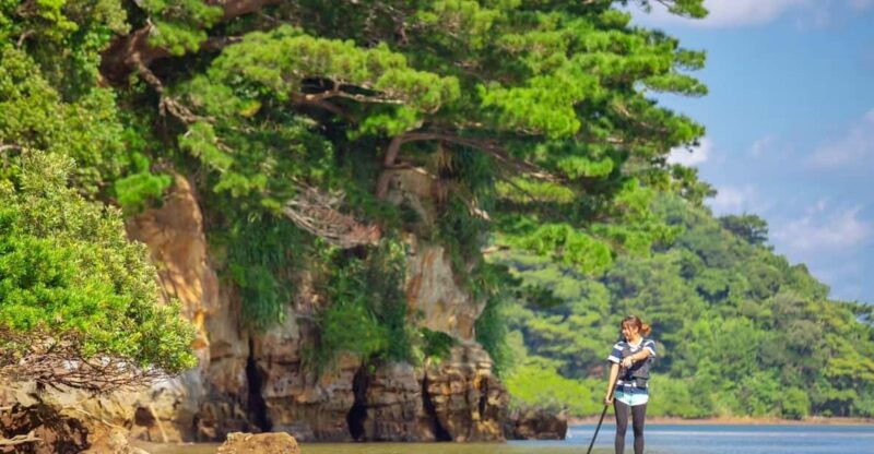 iriomote-mangrove-sup-and-snorkeling-at-coral-island
