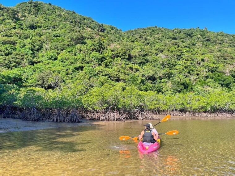 iriomote-mangrove-sup-and-snorkeling-at-coral-island