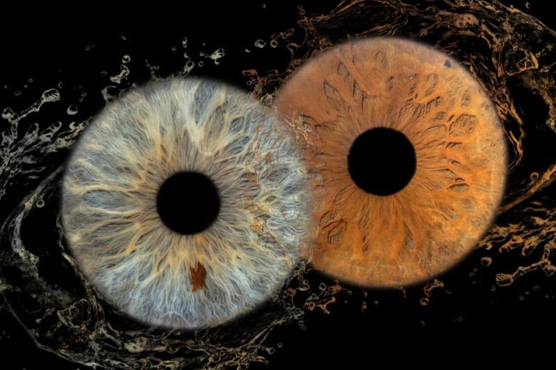 iris-photography-macro-photo-of-your-eye