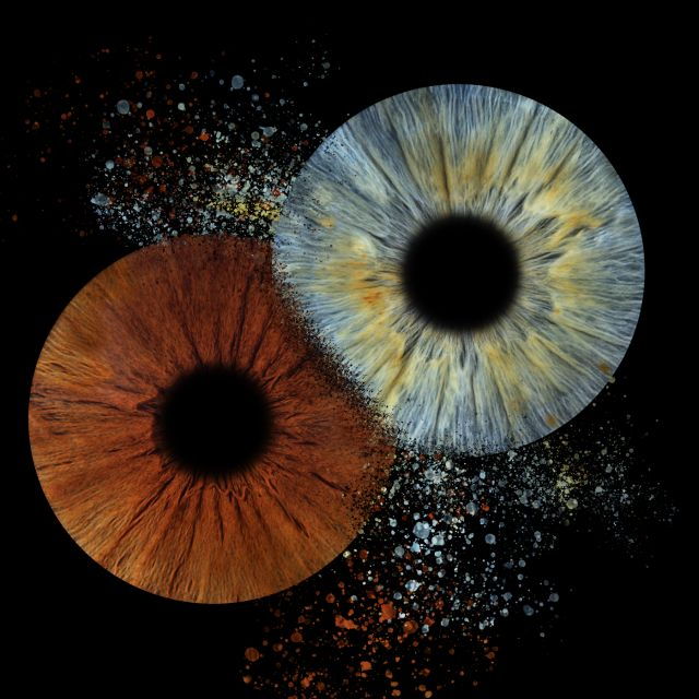 iris-shooting-photo-print