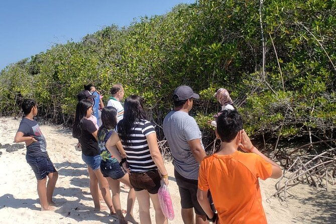 isabela-full-day-from-santa-cruz-with-tintoreras-flamingos