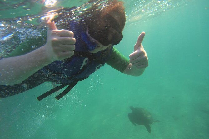 isabela-full-day-from-santa-cruz-with-tintoreras-flamingos