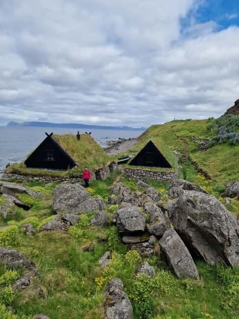 Isafjordur: Dynjandi & Bolungarvik Shore Excursion Tour - Who Should Consider This Tour?