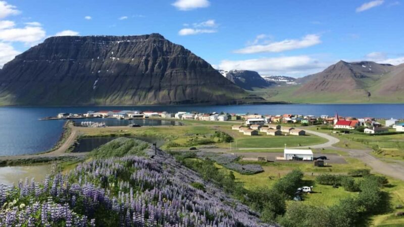 Ísafjörður: Dynjandi Waterfall & Flateyri Village Tour - FAQ