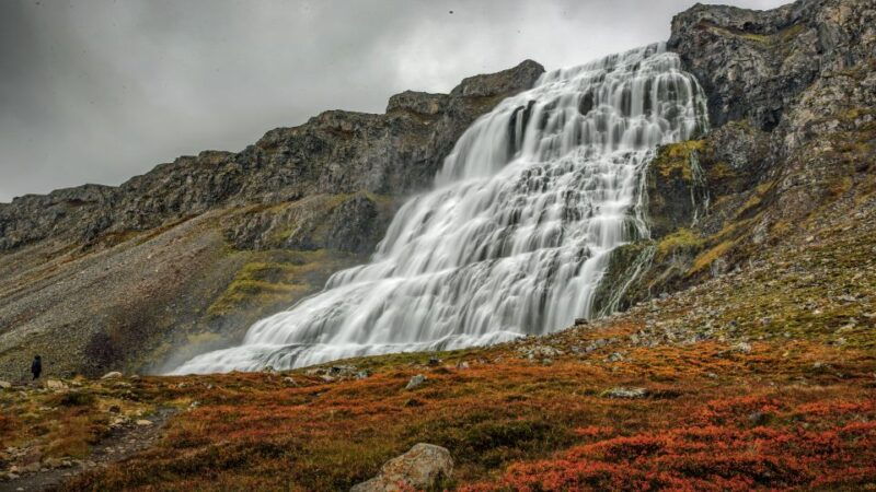 isafjordur-dynjandi-waterfall-tour-and-icelandic-farm-visit