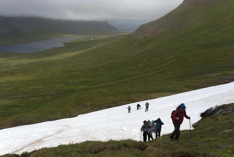 Ísafjörður: Hornstrandir Guided Hike Aðalvík to Hesteyri - Key Points: