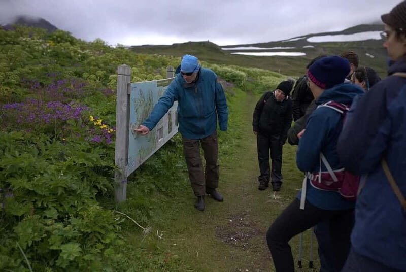 Ísafjörður: Hornstrandir Guided Hike Hesteyri to Aðalvík - An In-Depth Look at the Tour Experience