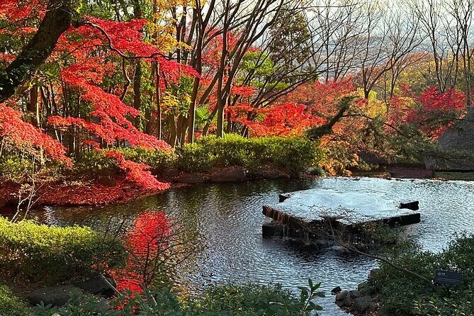 Isamu Noguchi Museum and Japanese Sweets Workshop by Car - An In-Depth Look at the Itinerary