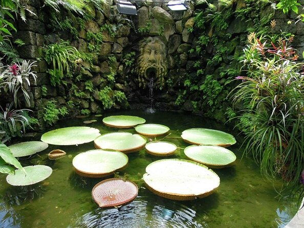 ischia-and-la-mortella-gardens-2