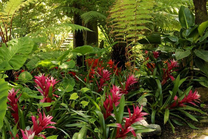 ischia-and-la-mortella-gardens