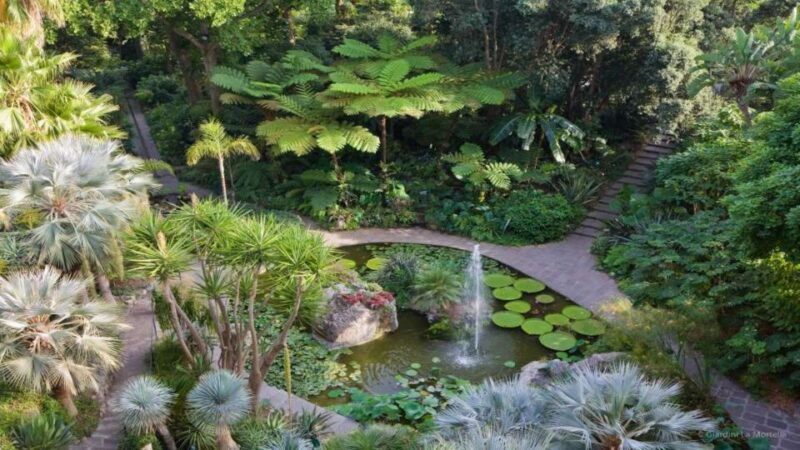 ischia-and-mortella-gardens-full-day-tour-from-sorrento