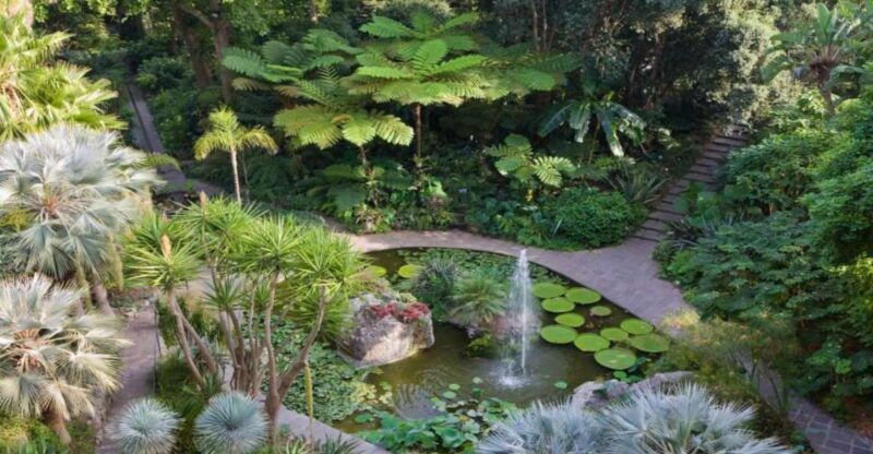 ischia-and-mortella-gardens-full-day-tour-from-sorrento