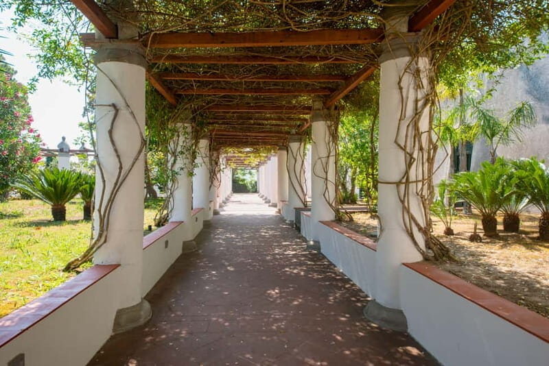 Ischia: Archaeological Museum of Pithecusae Ticket - Who Will Enjoy This Tour?