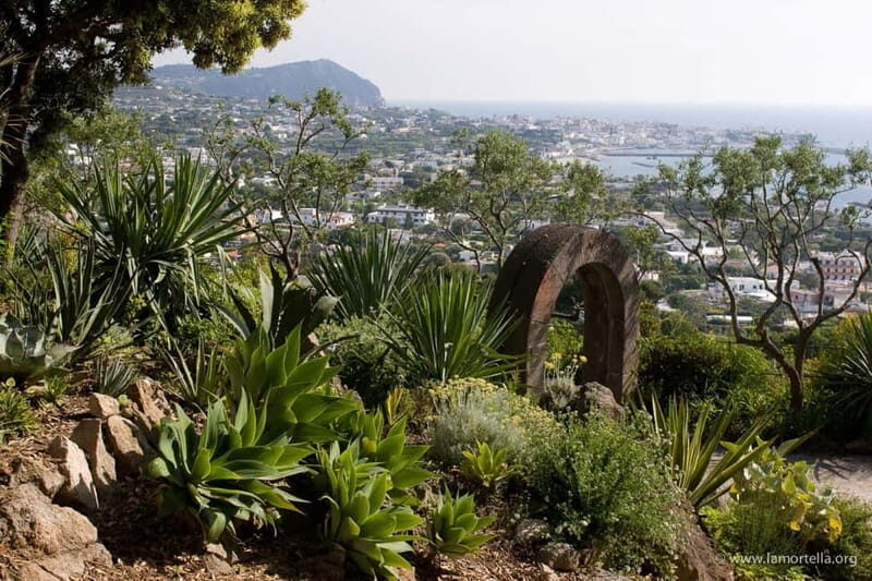 Ischia: La Mortella Gardens Trip with Optional Lunch - The Practicalities: What You Need to Know