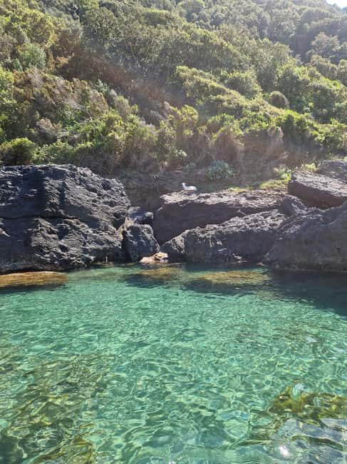 Ischia: Private SUP Lesson and Tour of the Forio Coast - An Authentic Coastal Adventure in Ischia