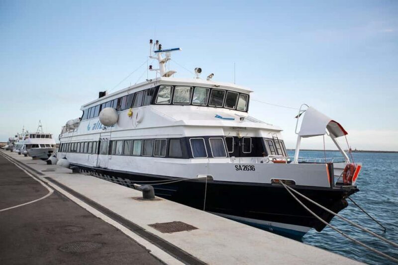 Ischia Tour with Free Time from Salerno and Amalfi Coast - The Practicalities: Booking, Accessibility, and Cost